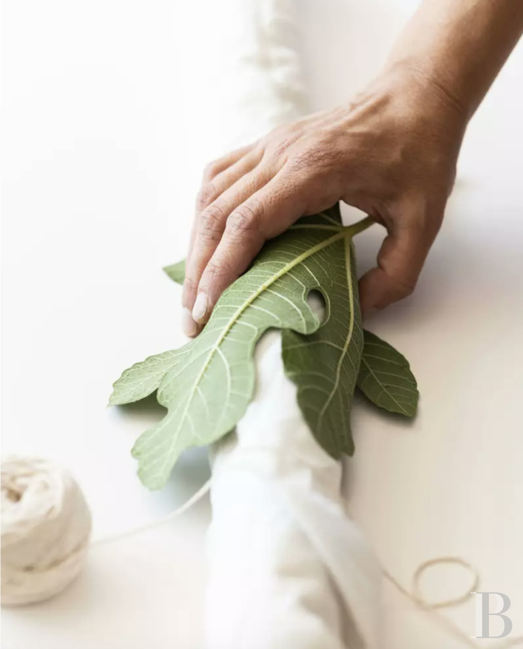 En Mayenne, au sud de Laval, un ancien établissement de blanchissage dans un domaine de 180 hectares - photo  n°11